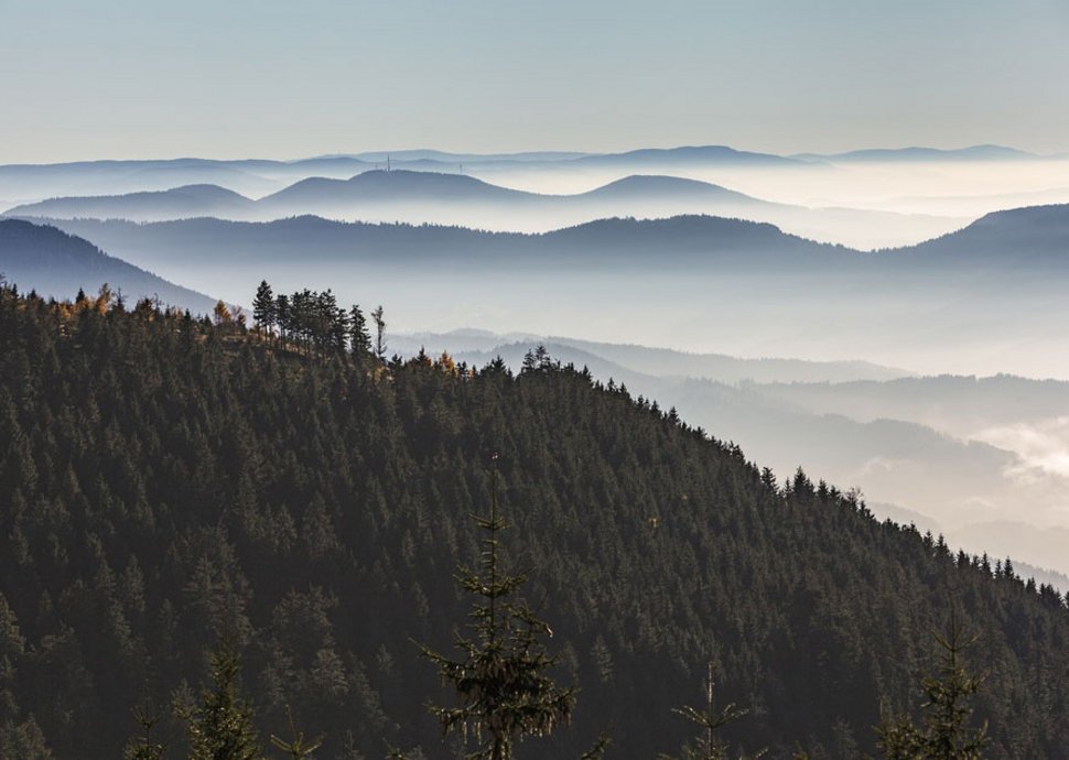 Unbeschwerter Urlauf für Senioren im Schwarzwald.