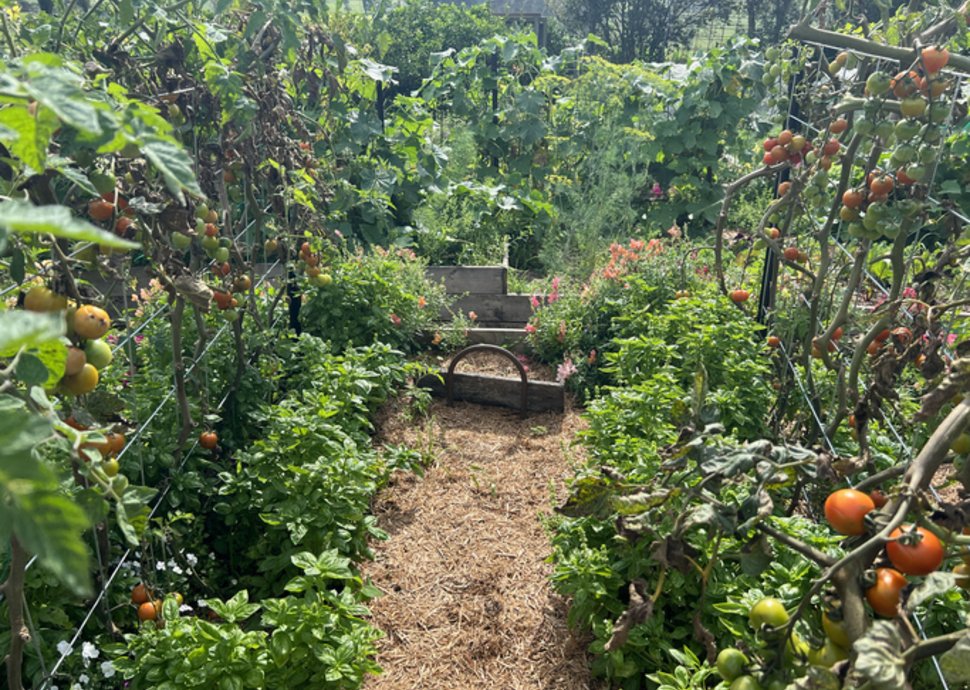 Permakultur: Tipps für einen natürlichen Garten