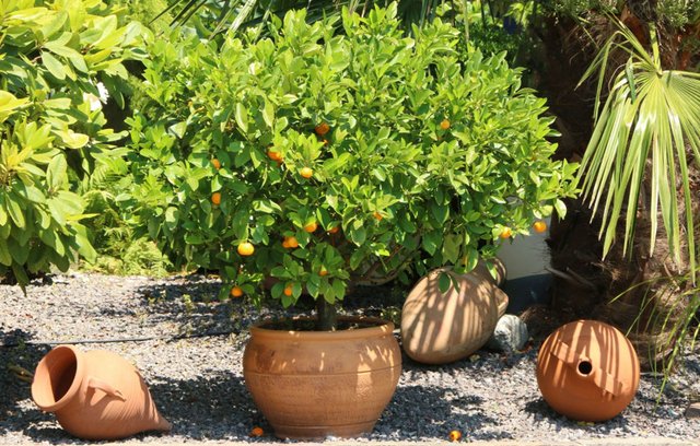 Sie haben viele Möglichkeiten, den Urlaub in de Garten zu holen.