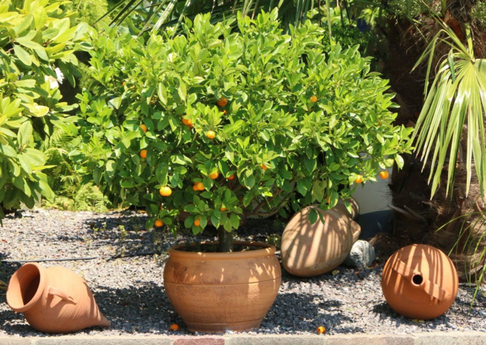 Sie haben viele Möglichkeiten, den Urlaub in de Garten zu holen.